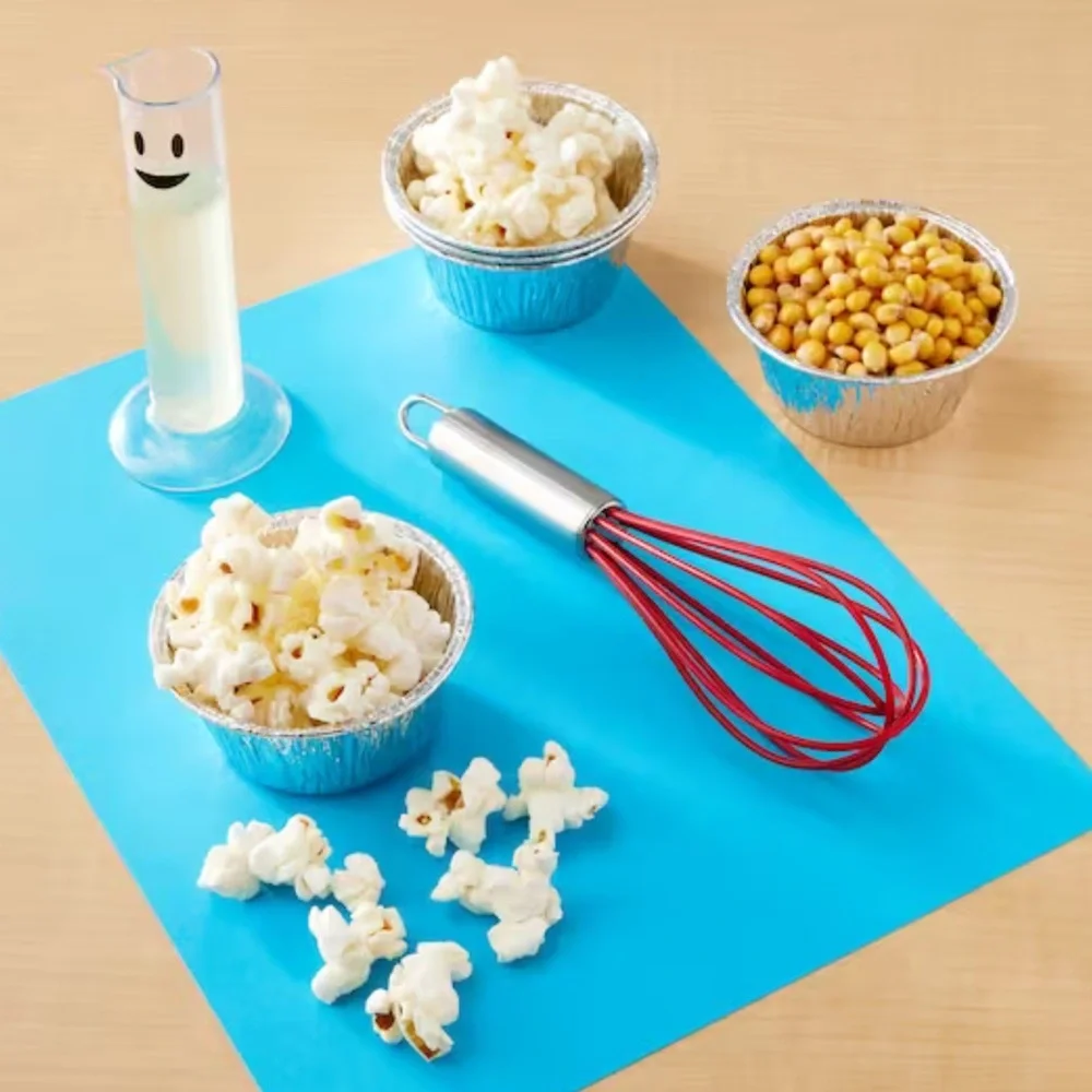 Discovery Toys STEM Discovery Food Science Lab Kit (NWT)